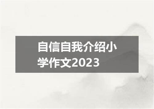 自信自我介绍小学作文2023