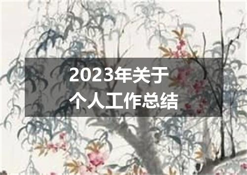 2023年关于个人工作总结