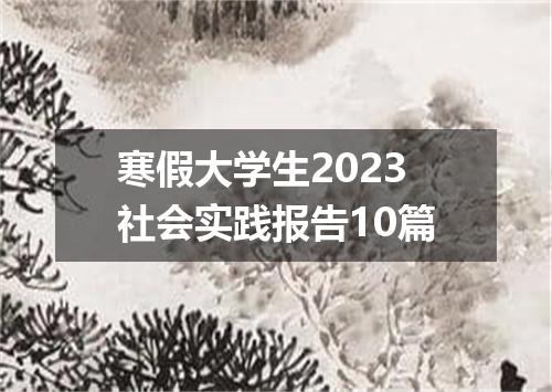 寒假大学生2023社会实践报告10篇