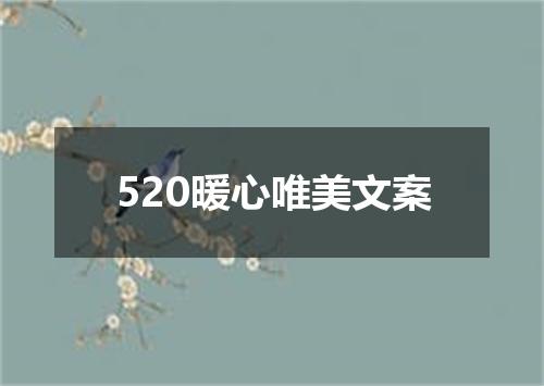 520暖心唯美文案