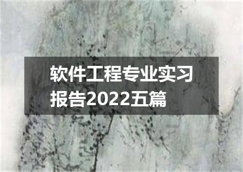 软件工程专业实习报告2022五篇