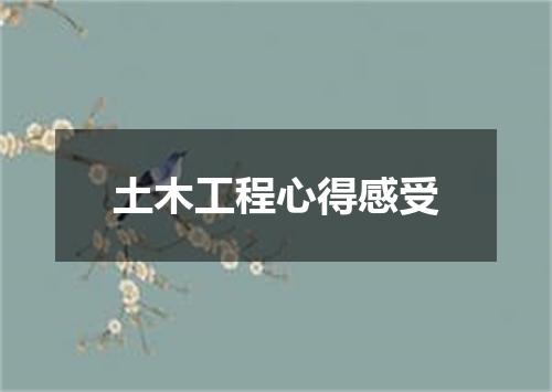 土木工程心得感受