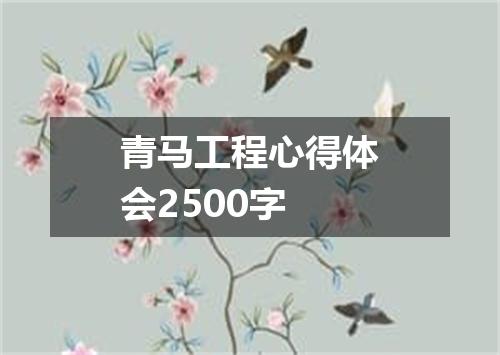 青马工程心得体会2500字