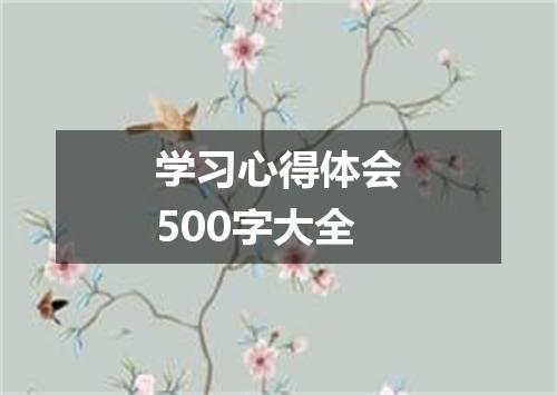 学习心得体会500字大全