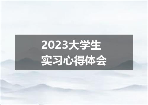 2023大学生实习心得体会