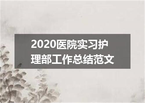 2020医院实习护理部工作总结范文