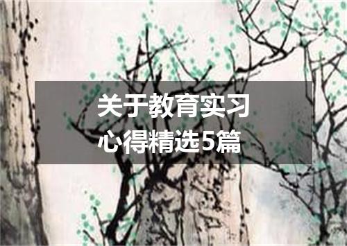 关于教育实习心得精选5篇