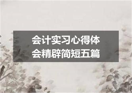 会计实习心得体会精辟简短五篇