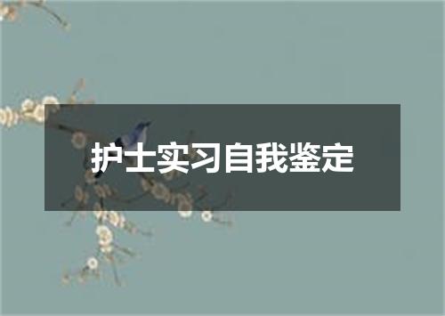 护士实习自我鉴定