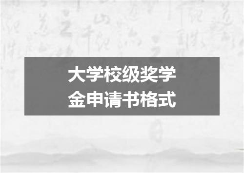 大学校级奖学金申请书格式