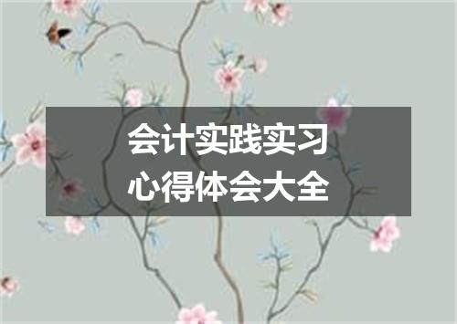 会计实践实习心得体会大全