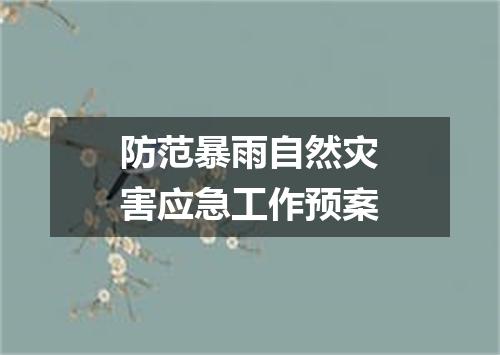 防范暴雨自然灾害应急工作预案