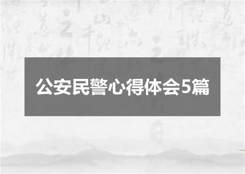 公安民警心得体会5篇