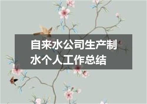 自来水公司生产制水个人工作总结