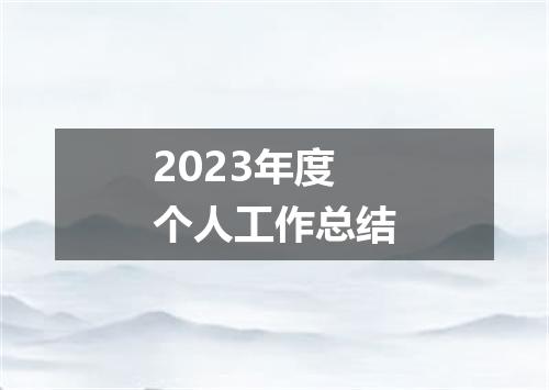 2023年度个人工作总结