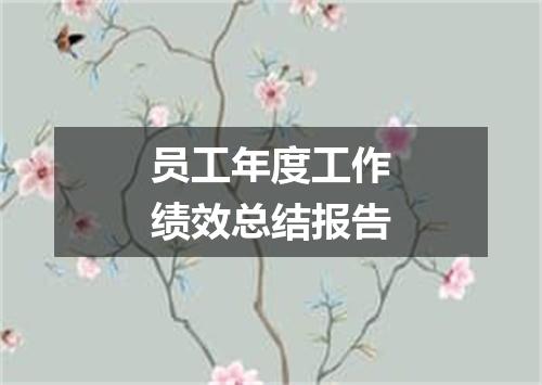 员工年度工作绩效总结报告