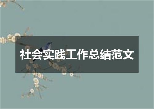社会实践工作总结范文