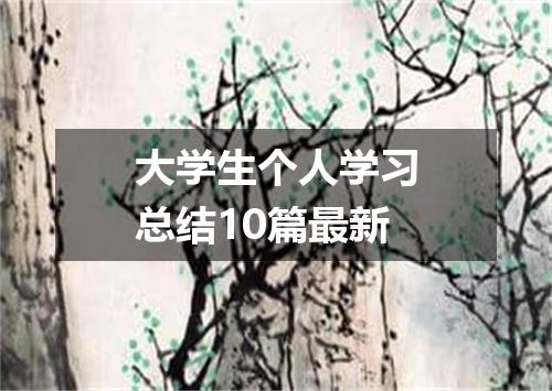 大学生个人学习总结10篇最新
