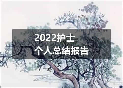 2022护士个人总结报告