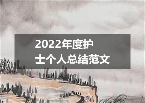 2022年度护士个人总结范文