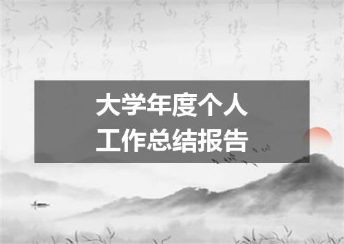 大学年度个人工作总结报告