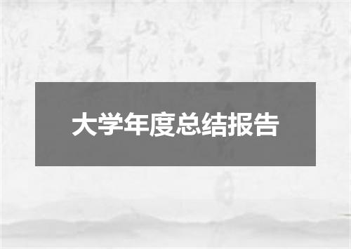 大学年度总结报告