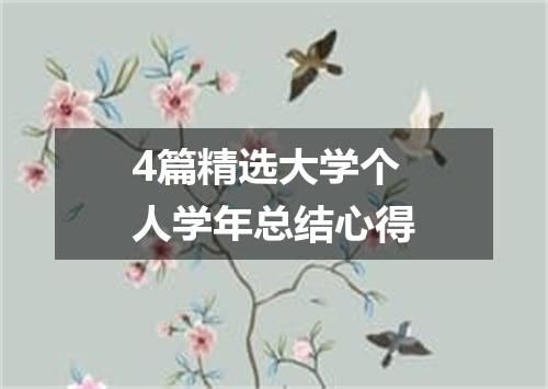 4篇精选大学个人学年总结心得
