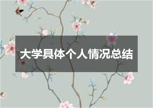 大学具体个人情况总结