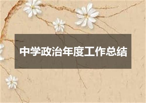 中学政治年度工作总结