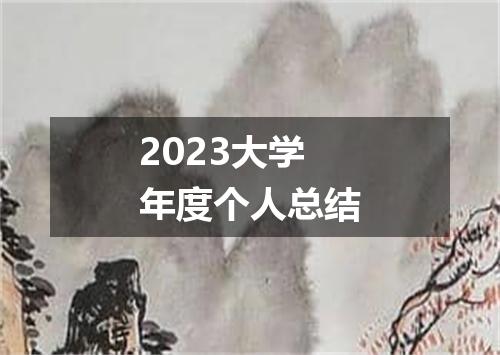 2023大学年度个人总结
