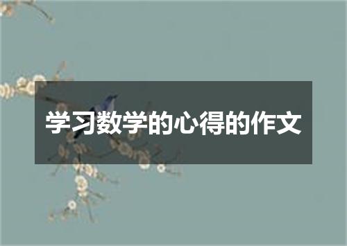 学习数学的心得的作文