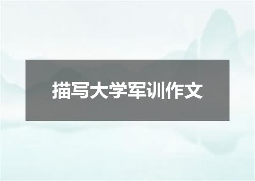 描写大学军训作文