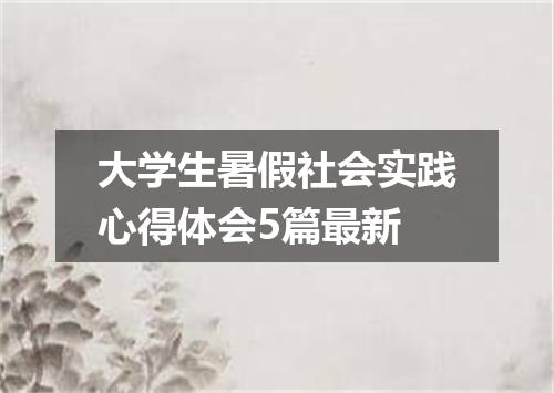 大学生暑假社会实践心得体会5篇最新