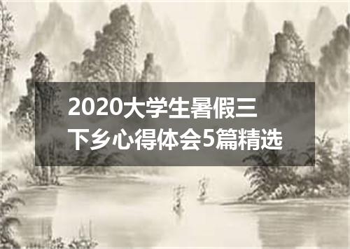 2020大学生暑假三下乡心得体会5篇精选