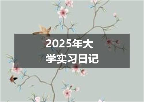 2025年大学实习日记