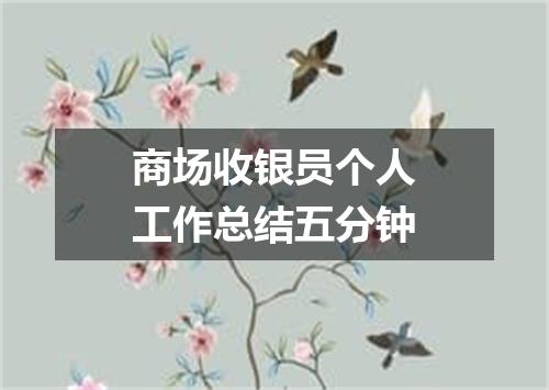 商场收银员个人工作总结五分钟