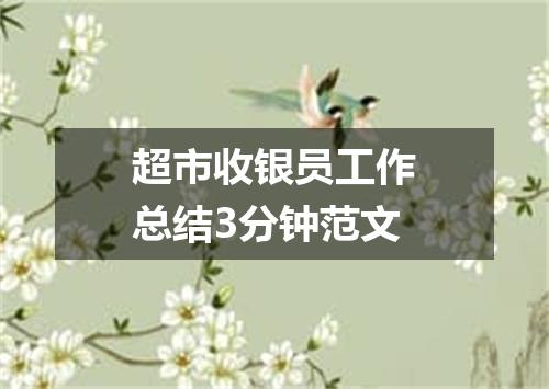 超市收银员工作总结3分钟范文