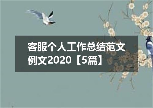 客服个人工作总结范文例文2020【5篇】