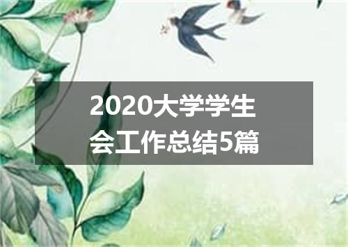 2020大学学生会工作总结5篇