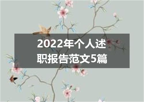 2022年个人述职报告范文5篇