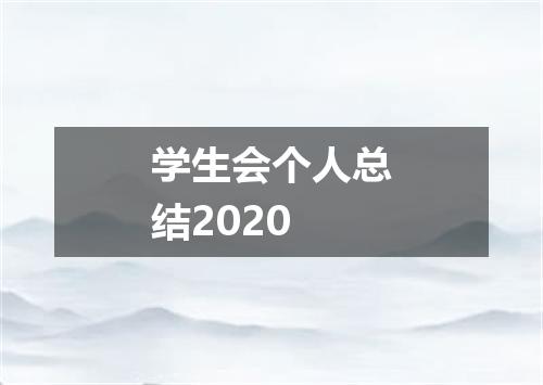 学生会个人总结2020