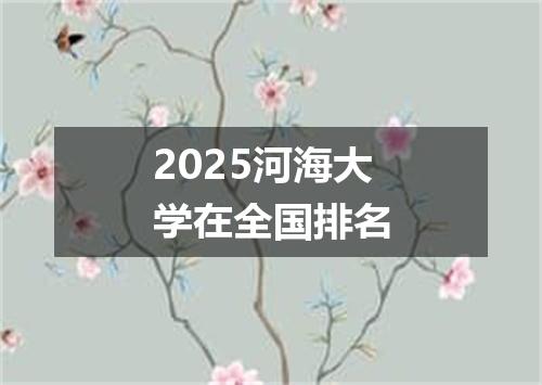 2025河海大学在全国排名