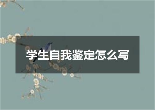 学生自我鉴定怎么写