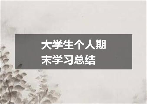 大学生个人期末学习总结