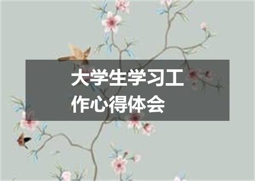 大学生学习工作心得体会