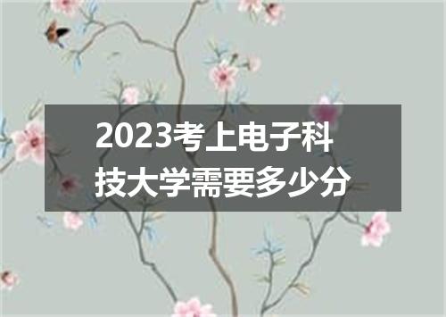 2023考上电子科技大学需要多少分