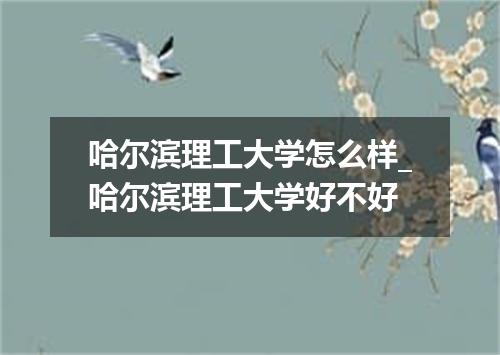 哈尔滨理工大学怎么样_哈尔滨理工大学好不好