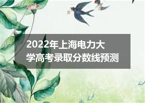 2022年上海电力大学高考录取分数线预测
