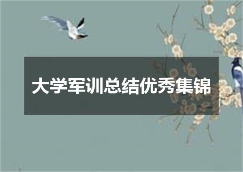 大学军训总结优秀集锦