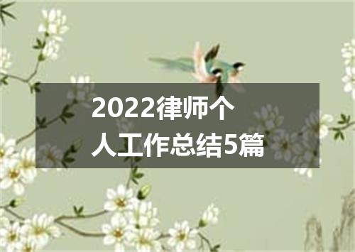 2022律师个人工作总结5篇